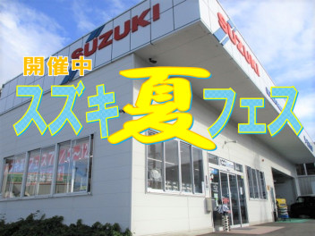 夏フェス❤今週末は中古車チラシ☆